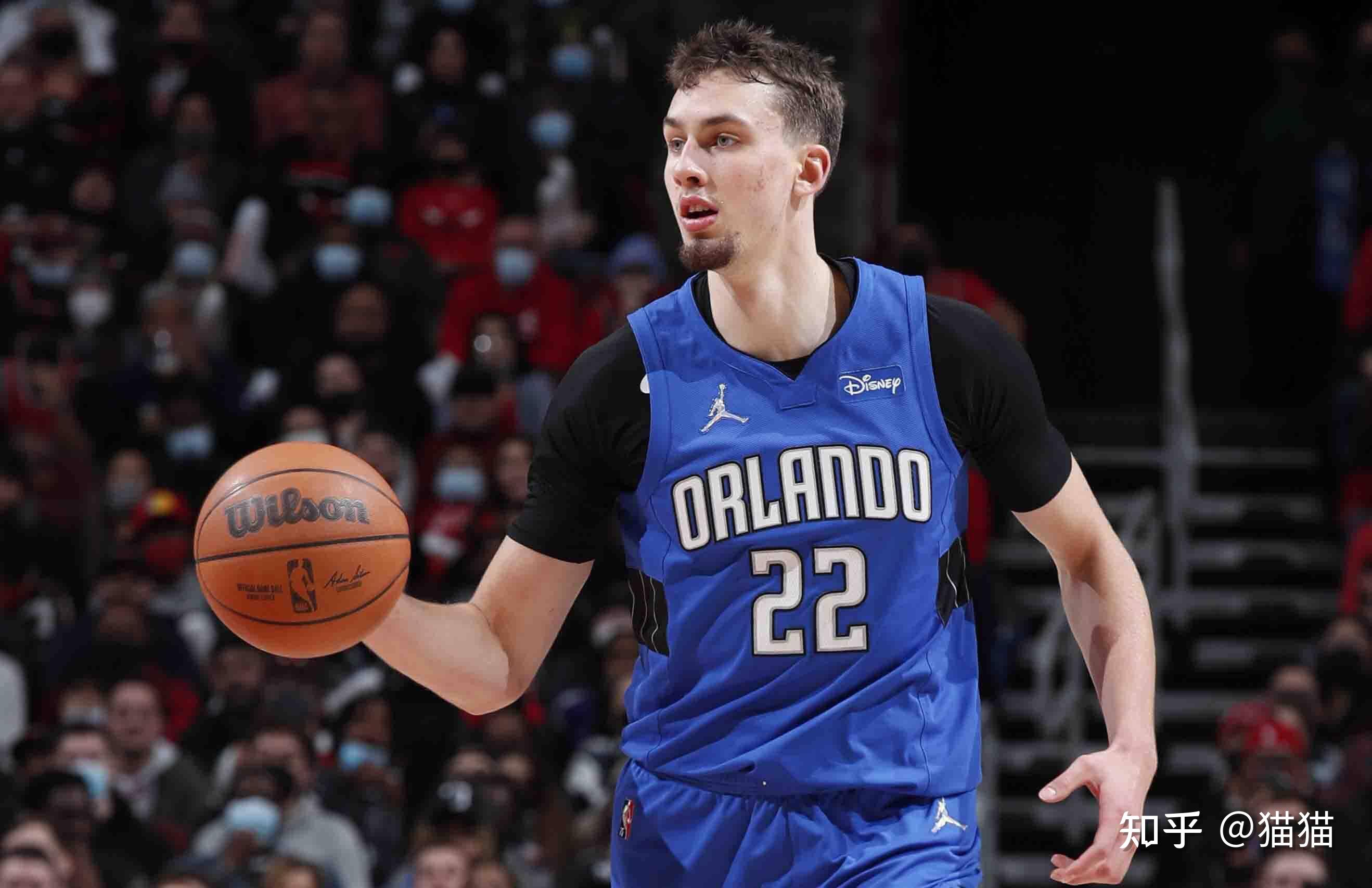 在这篇文章 在这篇文章