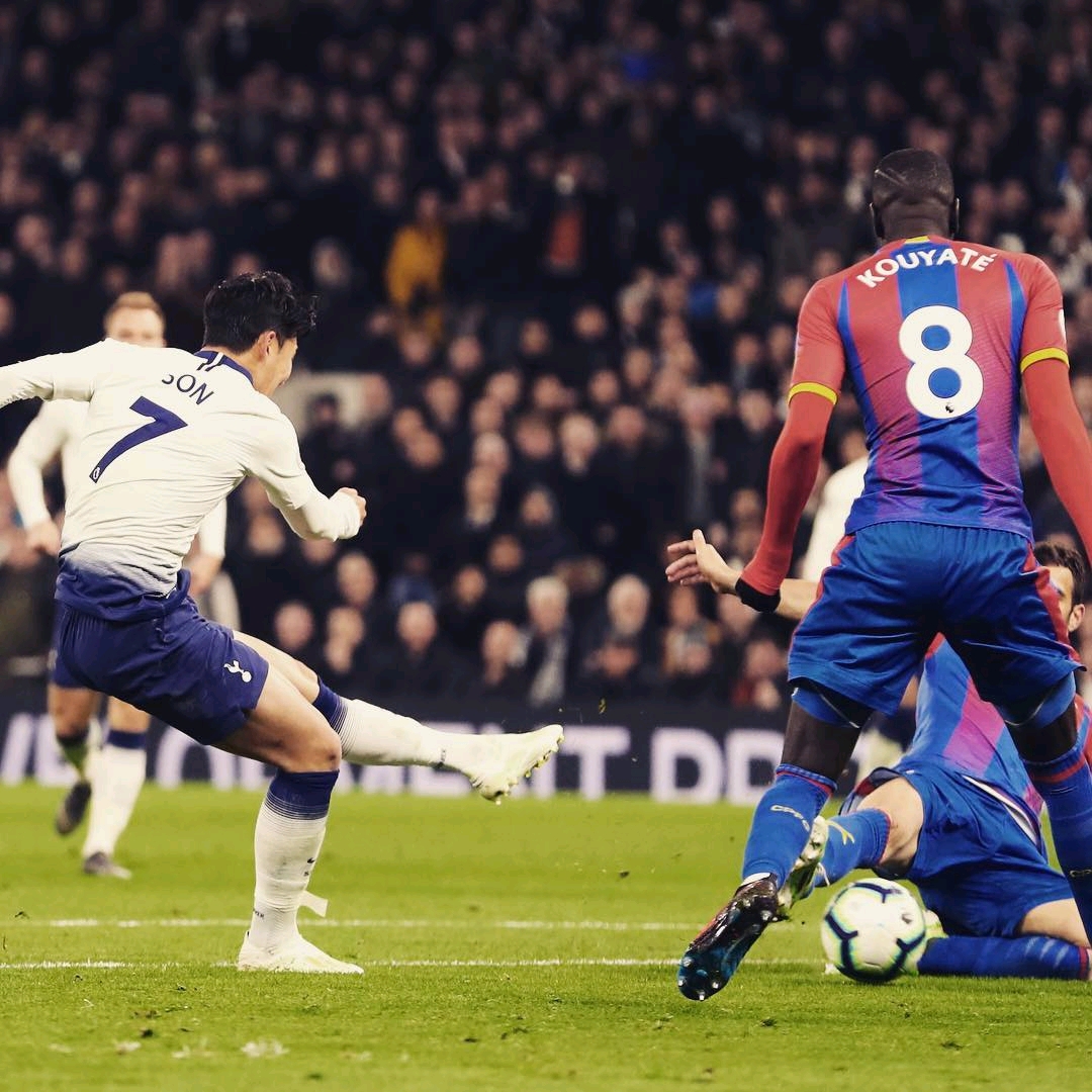 雄池覆盖了 雄池覆盖了